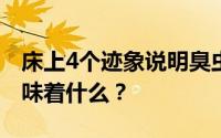 床上4个迹象说明臭虫存在：发现一只臭虫意味着什么？