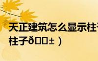 天正建筑怎么显示柱子（天正建筑T20怎么画柱子