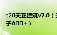 t20天正建筑v7.0（天正建筑T20如何绘制房子