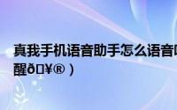 真我手机语音助手怎么语音唤醒（手机百度如何通过语音唤醒