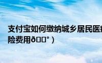 支付宝如何缴纳城乡居民医疗保险（支付宝如何缴纳医疗保险费用