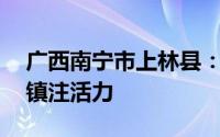 广西南宁市上林县：产权流转促振兴 示范乡镇注活力