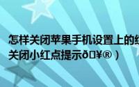 怎样关闭苹果手机设置上的红点提示（荣耀Magic5Pro怎么关闭小红点提示