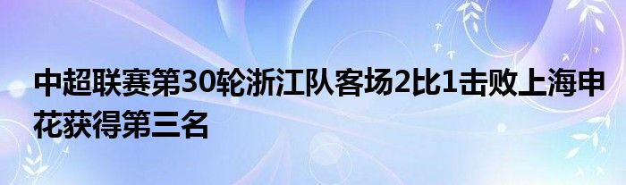 中超联赛第30轮浙江队客场2比1击败上海申花获得第三名