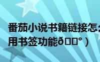 番茄小说书籍链接怎么复制（番茄小说如何使用书签功能