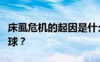 床虱危机的起因是什么？床虱危机为何席卷全球？