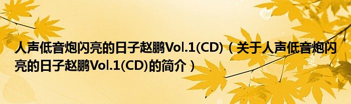 人声低音炮闪亮的日子赵鹏Vol.1(CD)（关于人声低音炮闪亮的日子赵鹏Vol.1(CD)的简介）