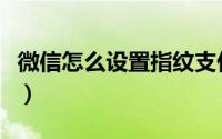 微信怎么设置指纹支付（设置指纹支付的方法）