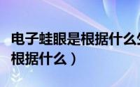 电子蛙眼是根据什么生物模仿的（电子蛙眼是根据什么）