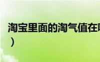 淘宝里面的淘气值在哪里看（淘气值在哪里看）