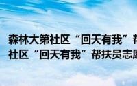 森林大第社区“回天有我”帮扶员志愿服务队(关于森林大第社区“回天有我”帮扶员志愿服务队的简介)