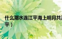 什么潮水连江平海上明月共潮生带春的词语（什么潮水连江平）