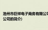 池州市巨祥电子商务有限公司(关于池州市巨祥电子商务有限公司的简介)