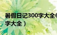 暑假日记300字大全60篇高中（暑假日记300字大全）