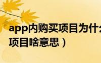 app内购买项目为什么不能下载（app内购买项目啥意思）