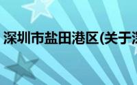 深圳市盐田港区(关于深圳市盐田港区的简介)