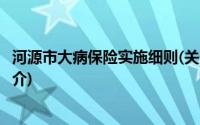 河源市大病保险实施细则(关于河源市大病保险实施细则的简介)