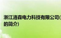 浙江洛森电力科技有限公司(关于浙江洛森电力科技有限公司的简介)