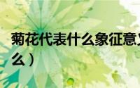 菊花代表什么象征意义（菊花的象征意义是什么）