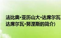 法比奥·亚历山大·达席尔瓦·努涅斯(关于法比奥·亚历山大·达席尔瓦·努涅斯的简介)