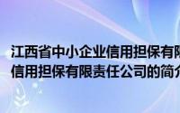 江西省中小企业信用担保有限责任公司(关于江西省中小企业信用担保有限责任公司的简介)