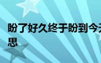 盼了好久终于盼到今天是哪首歌歌词是什么意思