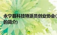 永宁县科技特派员创业协会(关于永宁县科技特派员创业协会的简介)