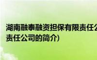 湖南融泰融资担保有限责任公司(关于湖南融泰融资担保有限责任公司的简介)