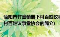 溧阳市竹箦镇姜下村百姓议事堂协会(关于溧阳市竹箦镇姜下村百姓议事堂协会的简介)