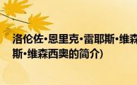 洛伦佐·恩里克·雷耶斯·维森西奥(关于洛伦佐·恩里克·雷耶斯·维森西奥的简介)