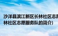 沙洋县滨江新区长林社区志愿服务队(关于沙洋县滨江新区长林社区志愿服务队的简介)