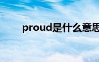 proud是什么意思（proud的含义）