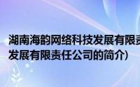 湖南海韵网络科技发展有限责任公司(关于湖南海韵网络科技发展有限责任公司的简介)