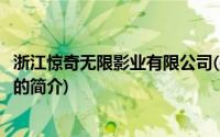 浙江惊奇无限影业有限公司(关于浙江惊奇无限影业有限公司的简介)