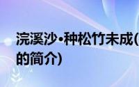 浣溪沙·种松竹未成(关于浣溪沙·种松竹未成的简介)