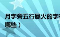 月字旁五行属火的字有哪些（五行属火的字有哪些）