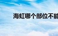 海虹哪个部位不能吃（海虹是什么）