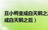 丑小鸭变成白天鹅之后作文600字（丑小鸭变成白天鹅之后）