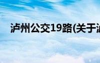 泸州公交19路(关于泸州公交19路的简介)