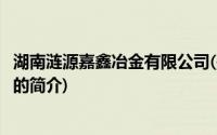 湖南涟源嘉鑫冶金有限公司(关于湖南涟源嘉鑫冶金有限公司的简介)