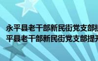 永平县老干部新民街党支部提升人居环境志愿服务队(关于永平县老干部新民街党支部提升人居环境志愿服务队的简介)