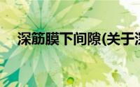 深筋膜下间隙(关于深筋膜下间隙的简介)