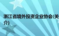 浙江省境外投资企业协会(关于浙江省境外投资企业协会的简介)