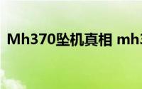 Mh370坠机真相 mh370坠机真相细节曝光