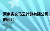 河南省文马云计算有限公司(关于河南省文马云计算有限公司的简介)