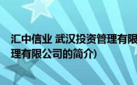 汇中信业 武汉投资管理有限公司(关于汇中信业 武汉投资管理有限公司的简介)