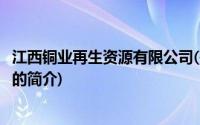 江西铜业再生资源有限公司(关于江西铜业再生资源有限公司的简介)