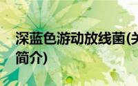 深蓝色游动放线菌(关于深蓝色游动放线菌的简介)