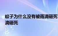 蚊子为什么没有被雨滴砸死? 「常识」蚊子为什么不会被雨滴砸死