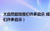 大自然能给我们许多启示 成熟的稻穗低着头（大自然能给我们许多启示）